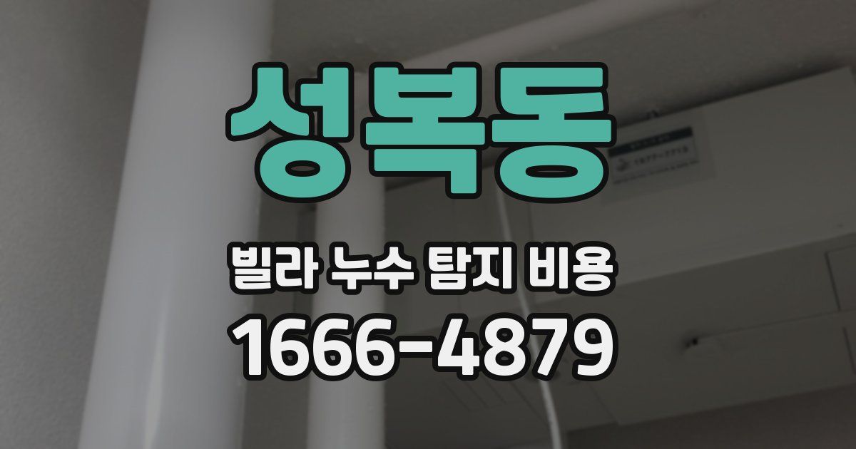 성복동 빌라 누수 탐지 비용