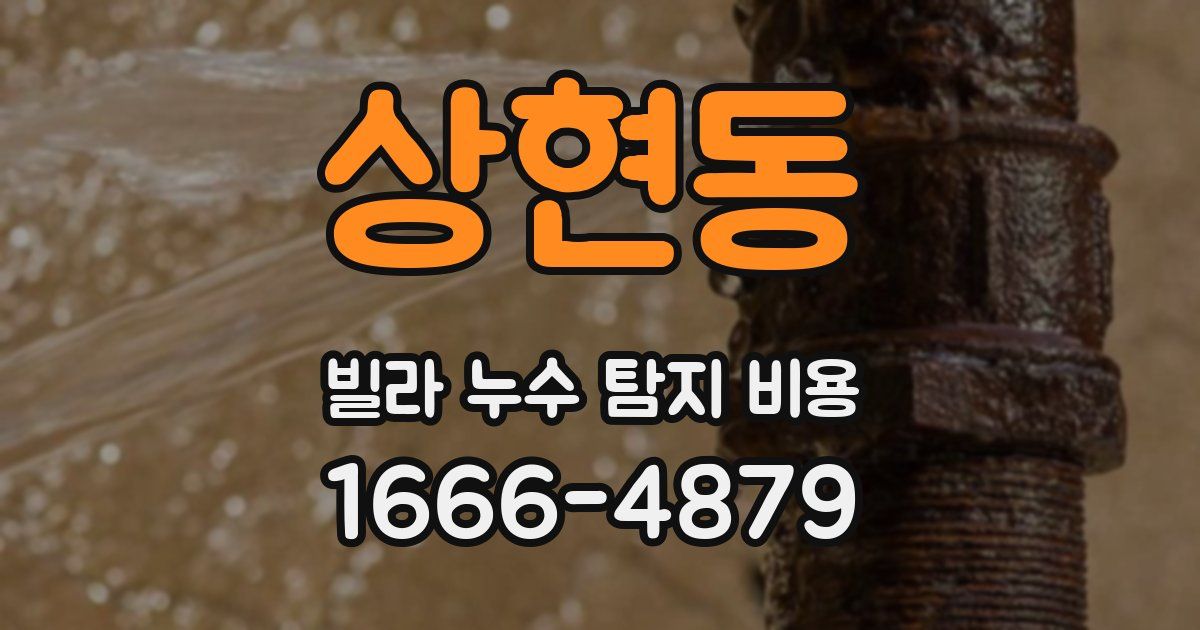 상현동 빌라 누수 탐지 비용