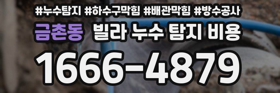 금촌동 빌라 누수 탐지 비용