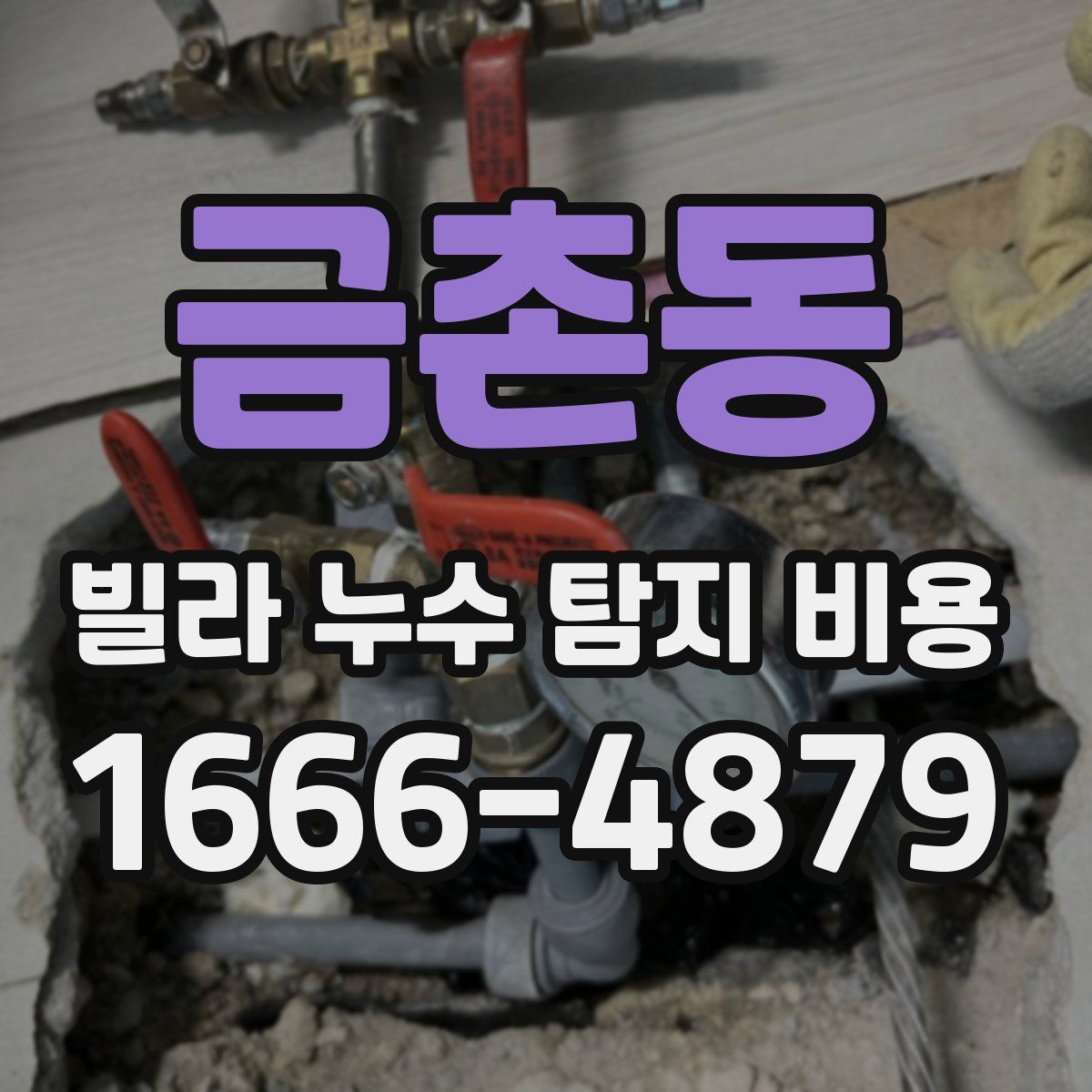 금촌동 빌라 누수 탐지 비용