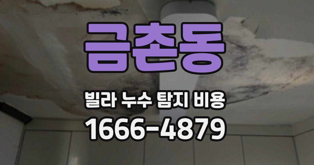 금촌동 빌라 누수 탐지 비용