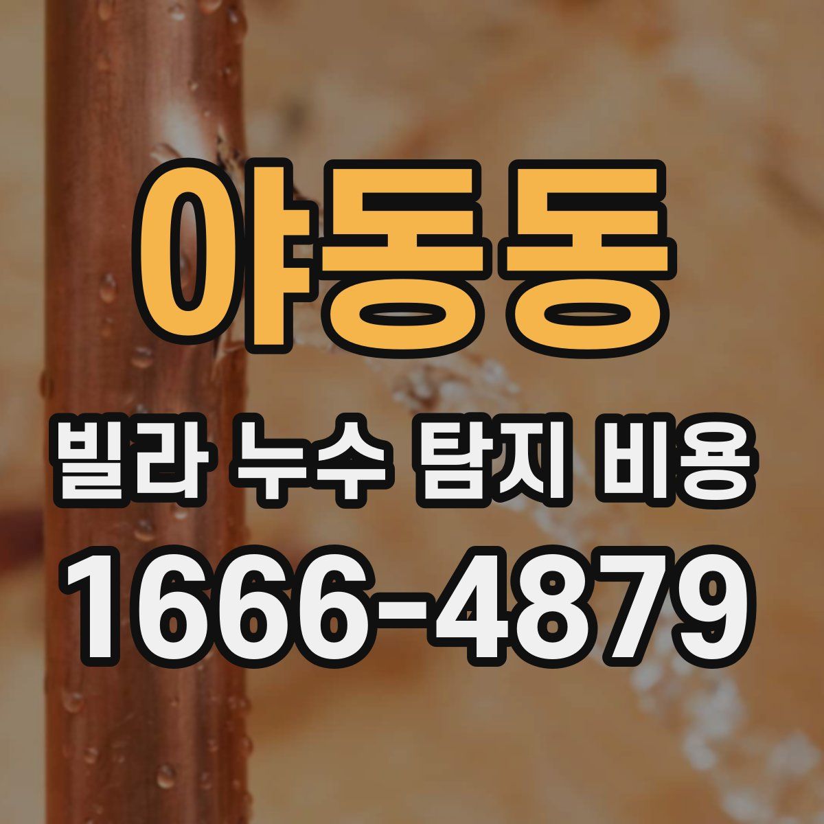 야동동 빌라 누수 탐지 비용