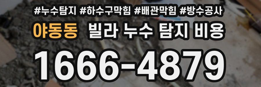 야동동 빌라 누수 탐지 비용