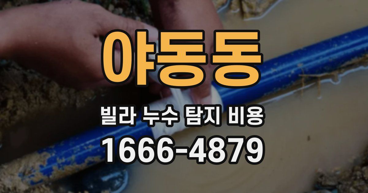 야동동 빌라 누수 탐지 비용