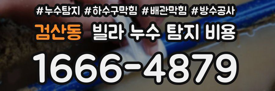 검산동 빌라 누수 탐지 비용