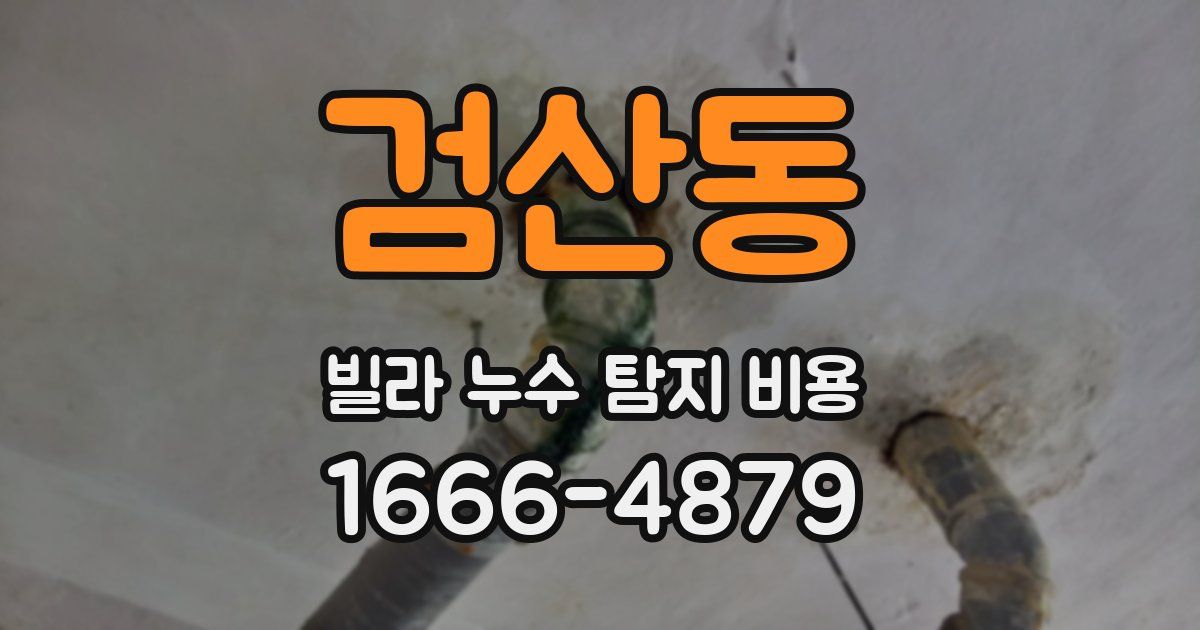 검산동 빌라 누수 탐지 비용