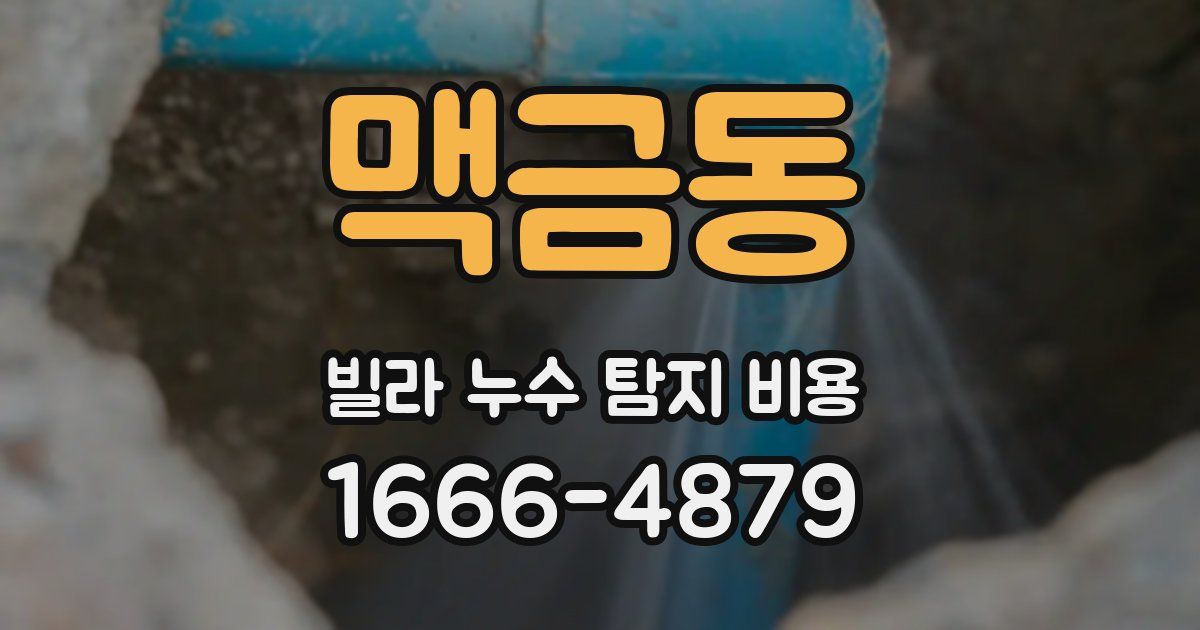 맥금동 빌라 누수 탐지 비용