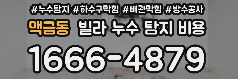 맥금동 빌라 누수 탐지 비용