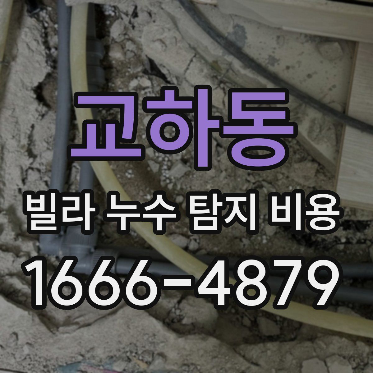 교하동 빌라 누수 탐지 비용