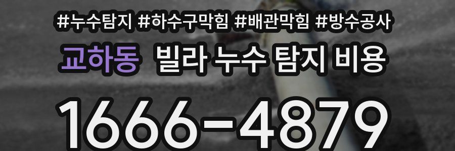 교하동 빌라 누수 탐지 비용