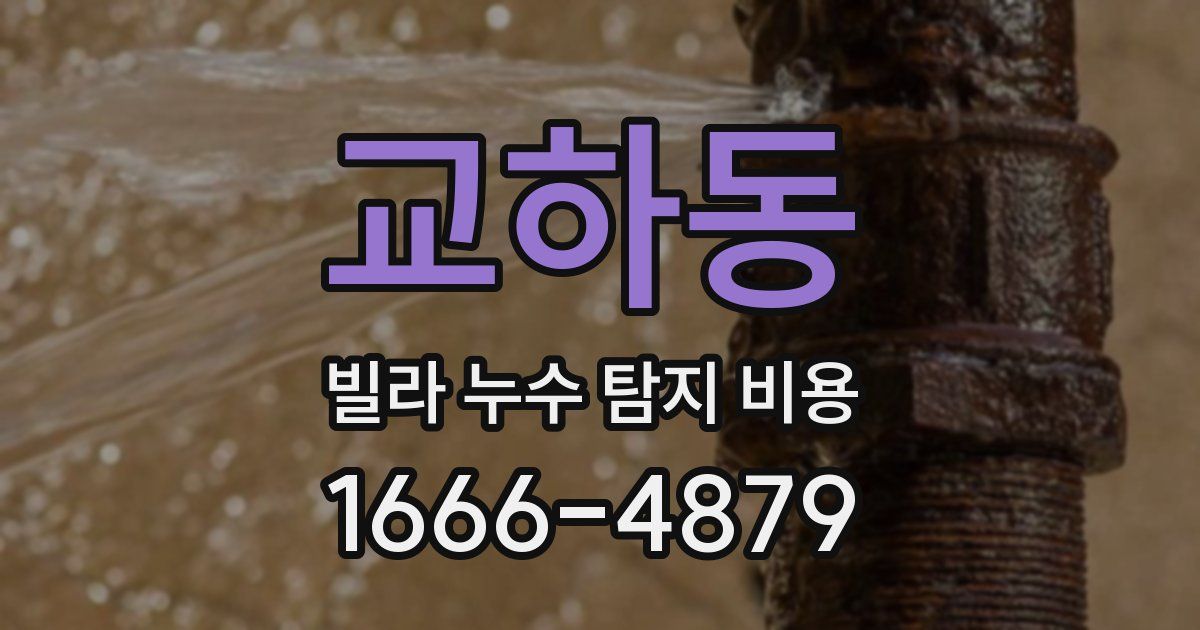 교하동 빌라 누수 탐지 비용