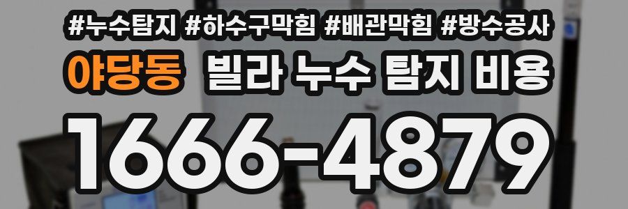 야당동 빌라 누수 탐지 비용