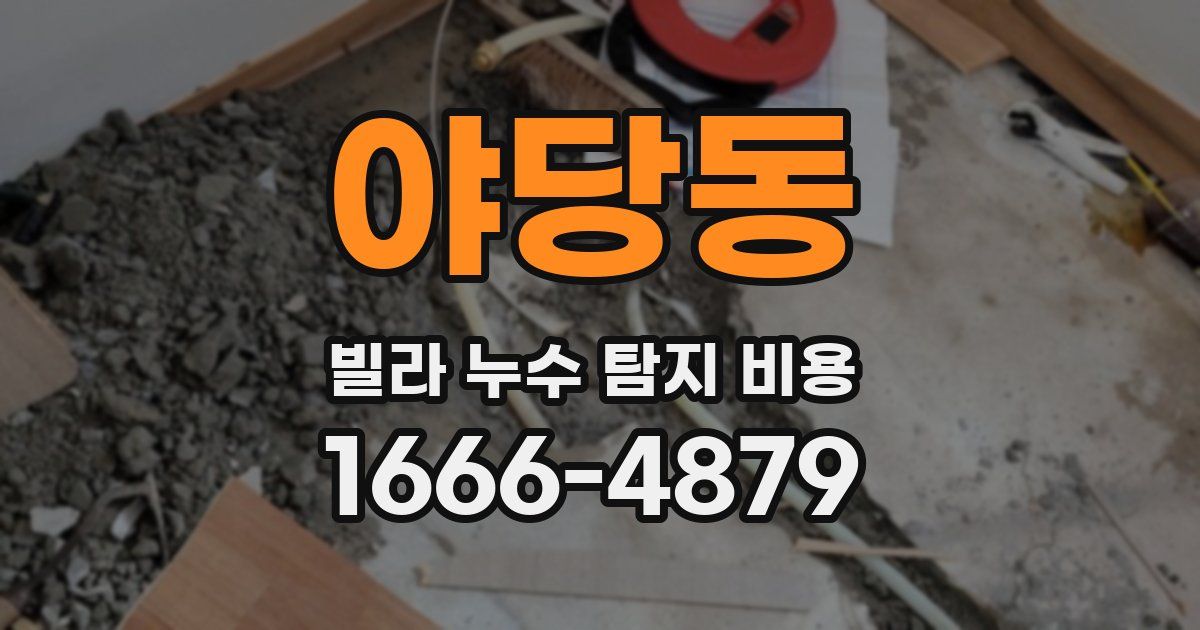 야당동 빌라 누수 탐지 비용