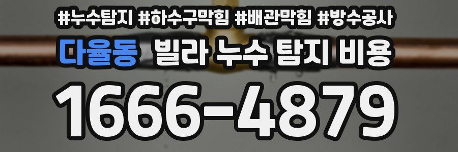 다율동 빌라 누수 탐지 비용