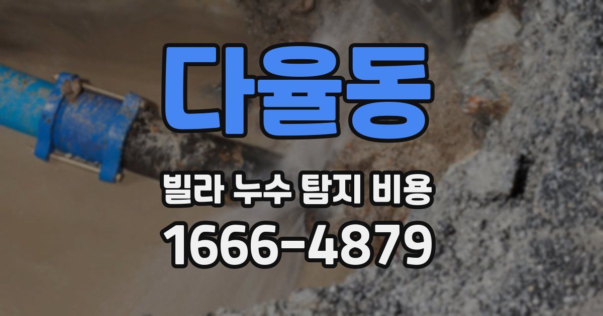 다율동 빌라 누수 탐지 비용