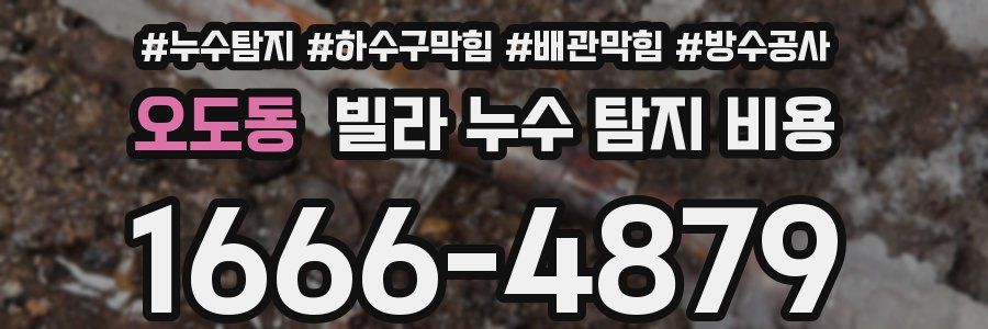 오도동 빌라 누수 탐지 비용