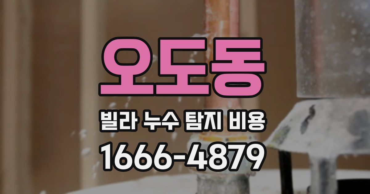 오도동 빌라 누수 탐지 비용