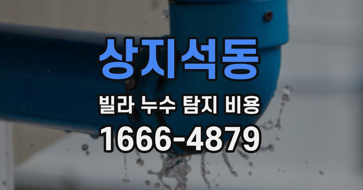 상지석동 빌라 누수 탐지 비용
