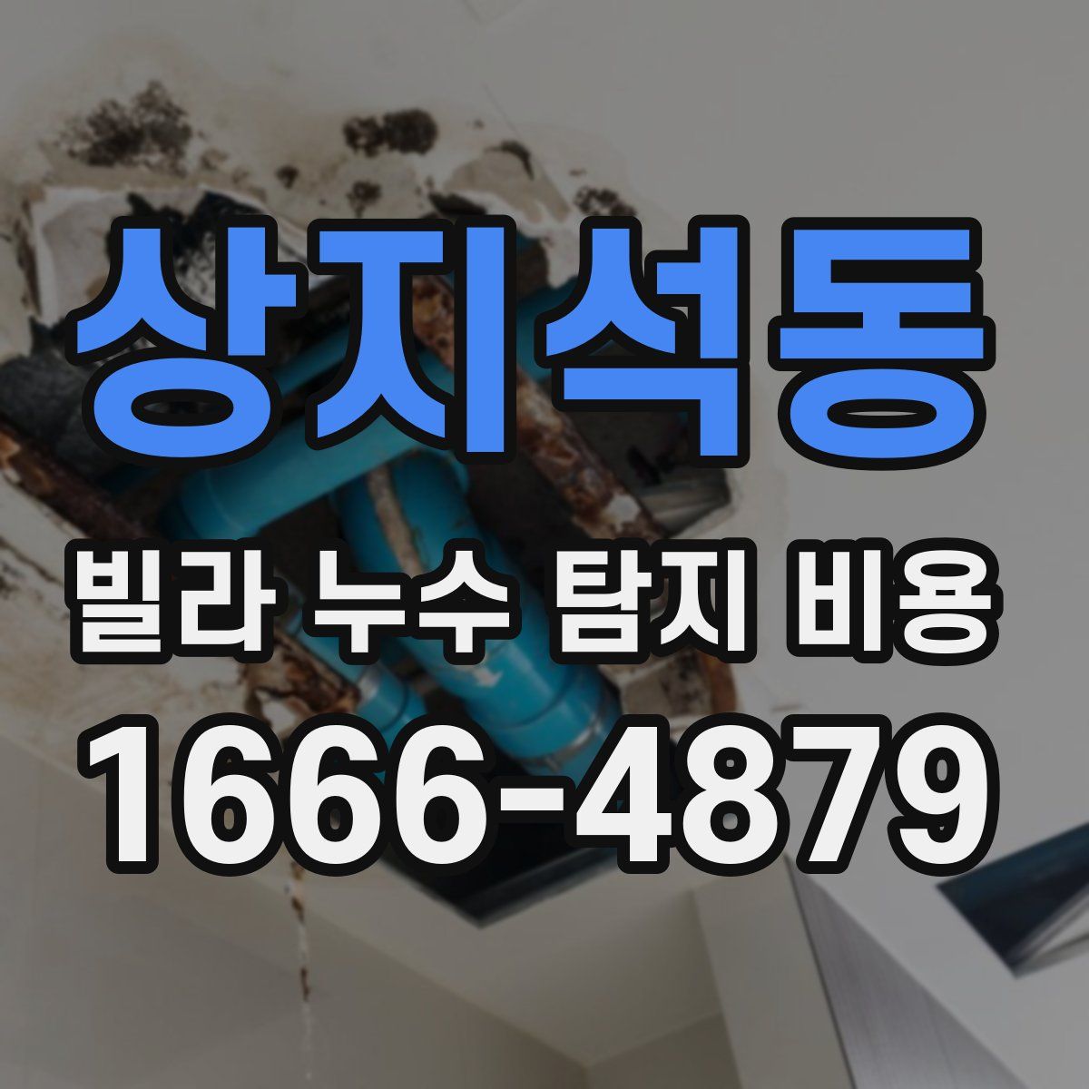 상지석동 빌라 누수 탐지 비용