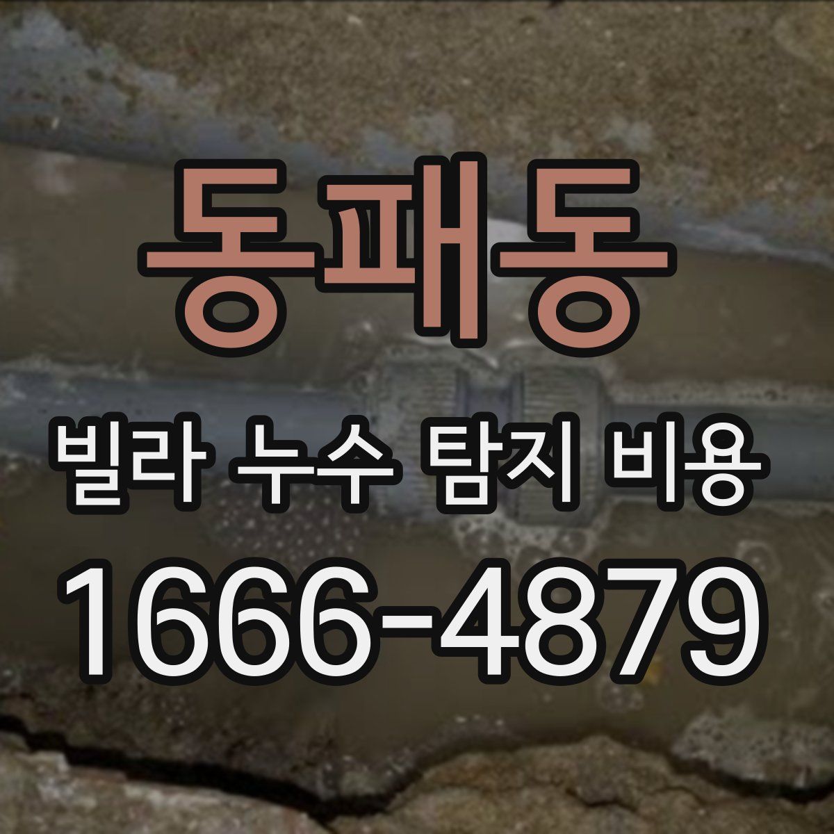 동패동 빌라 누수 탐지 비용
