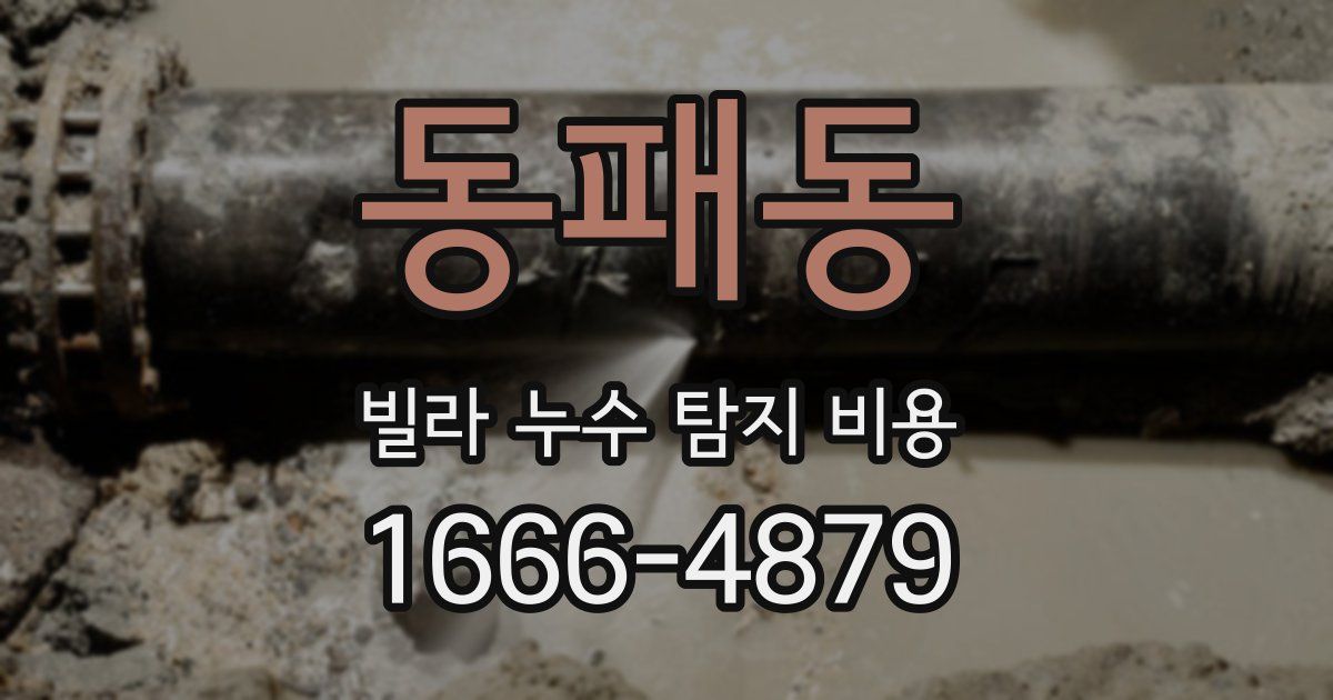 동패동 빌라 누수 탐지 비용
