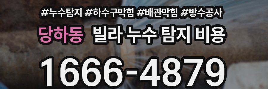 당하동 빌라 누수 탐지 비용