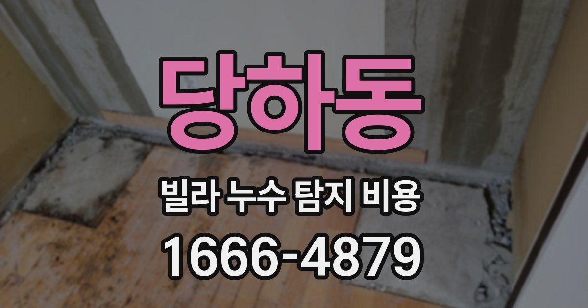 당하동 빌라 누수 탐지 비용