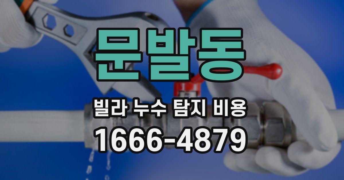 문발동 빌라 누수 탐지 비용
