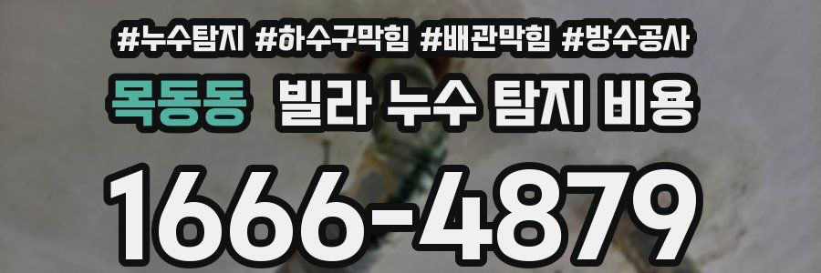 목동동 빌라 누수 탐지 비용