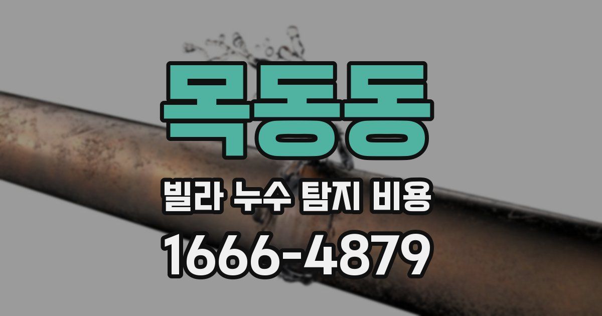 목동동 빌라 누수 탐지 비용