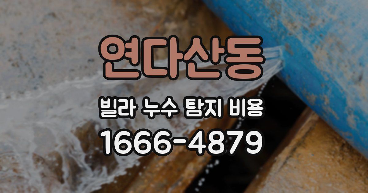 연다산동 빌라 누수 탐지 비용