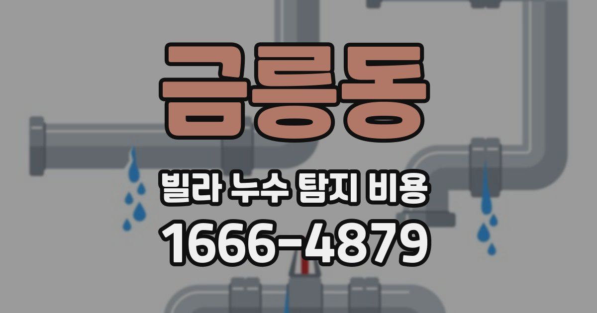 금릉동 빌라 누수 탐지 비용