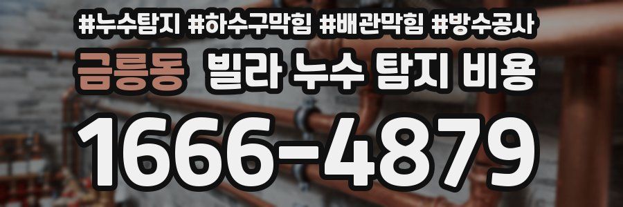 금릉동 빌라 누수 탐지 비용