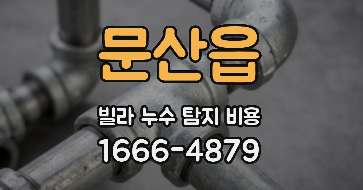문산읍 빌라 누수 탐지 비용