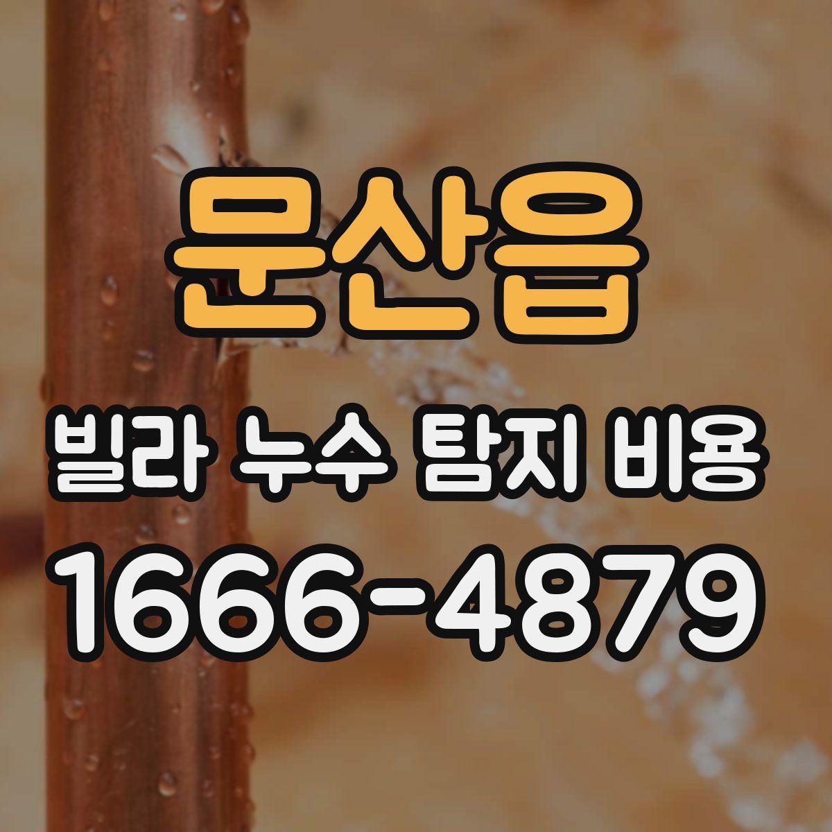 문산읍 빌라 누수 탐지 비용