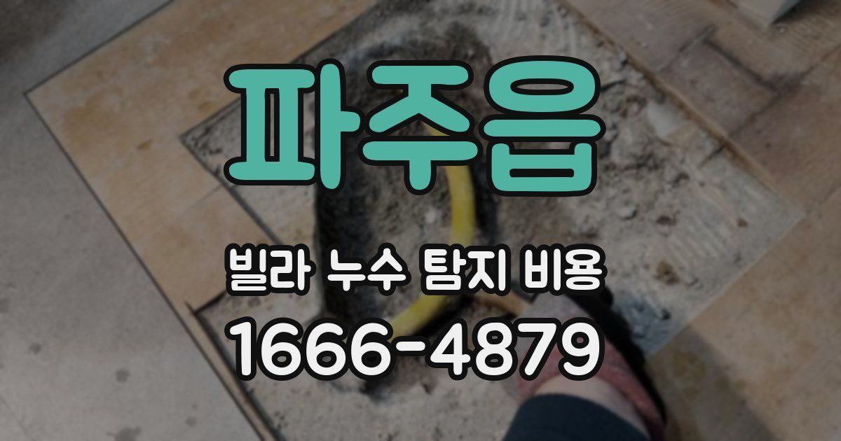 파주읍 빌라 누수 탐지 비용