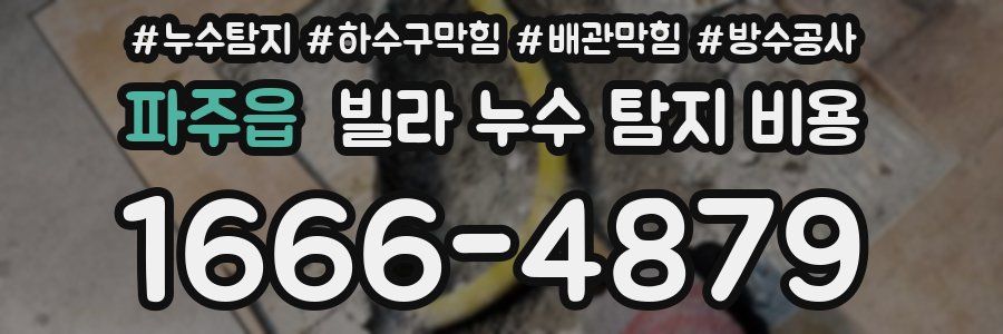 파주읍 빌라 누수 탐지 비용