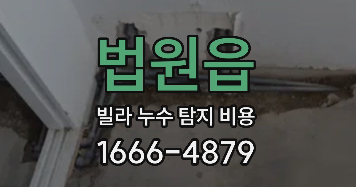 법원읍 빌라 누수 탐지 비용