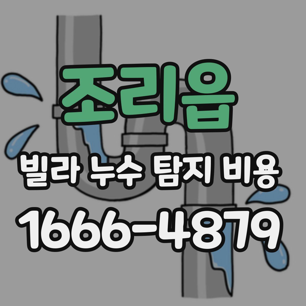 조리읍 빌라 누수 탐지 비용