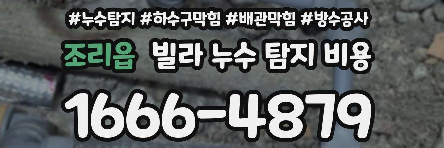 조리읍 빌라 누수 탐지 비용