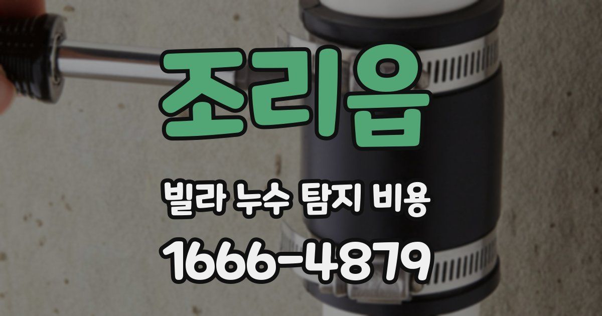 조리읍 빌라 누수 탐지 비용