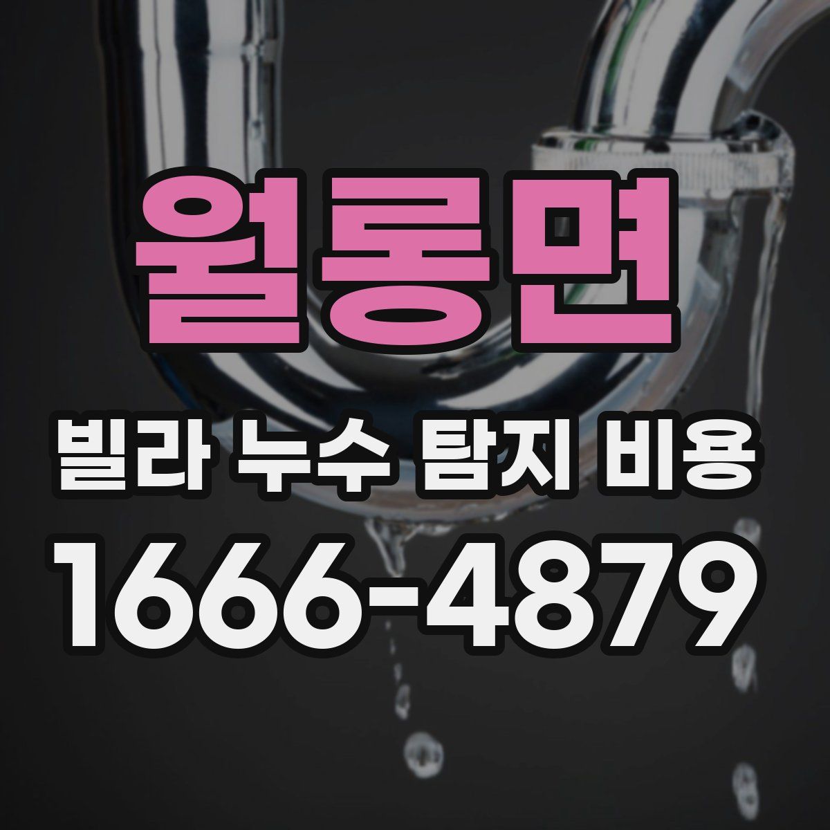 월롱면 빌라 누수 탐지 비용