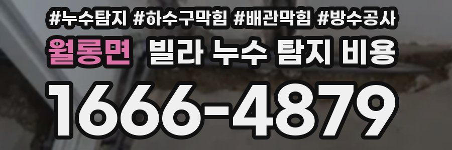월롱면 빌라 누수 탐지 비용