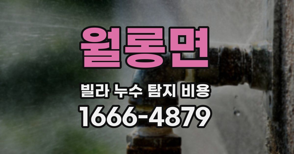 월롱면 빌라 누수 탐지 비용