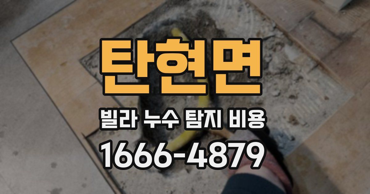 탄현면 빌라 누수 탐지 비용