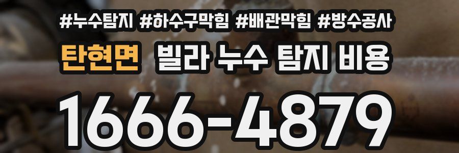 탄현면 빌라 누수 탐지 비용