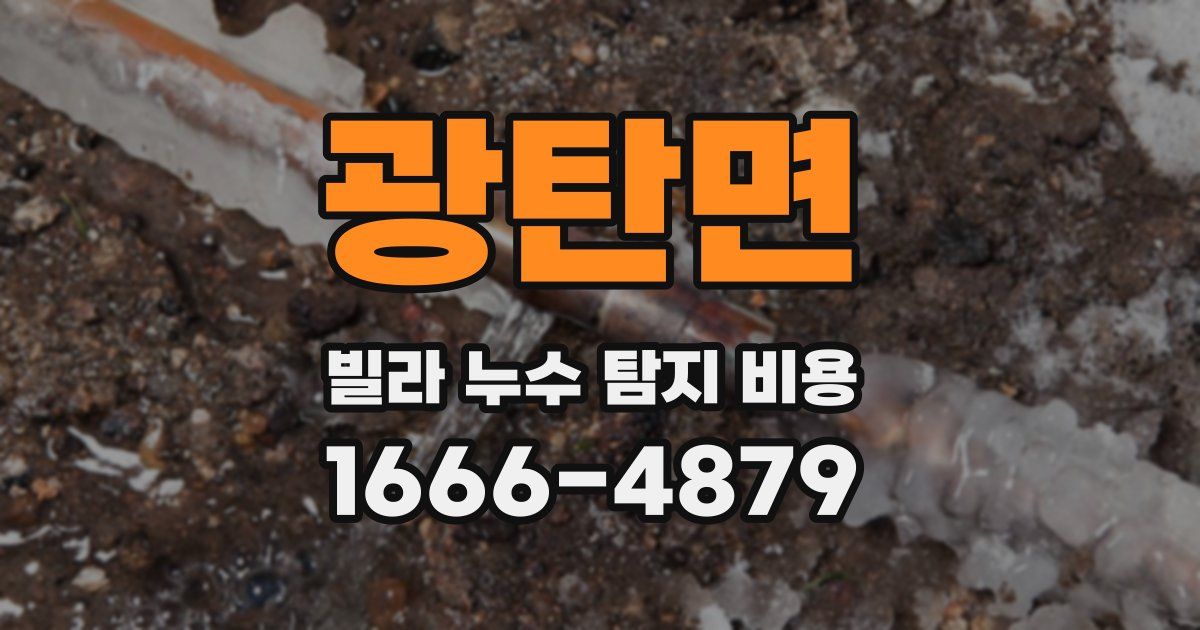 광탄면 빌라 누수 탐지 비용