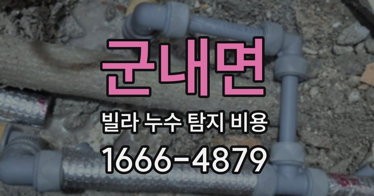 군내면 빌라 누수 탐지 비용