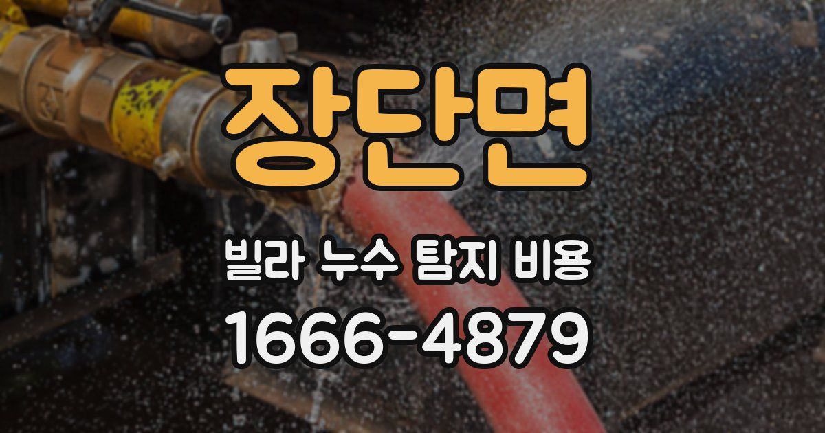 장단면 빌라 누수 탐지 비용