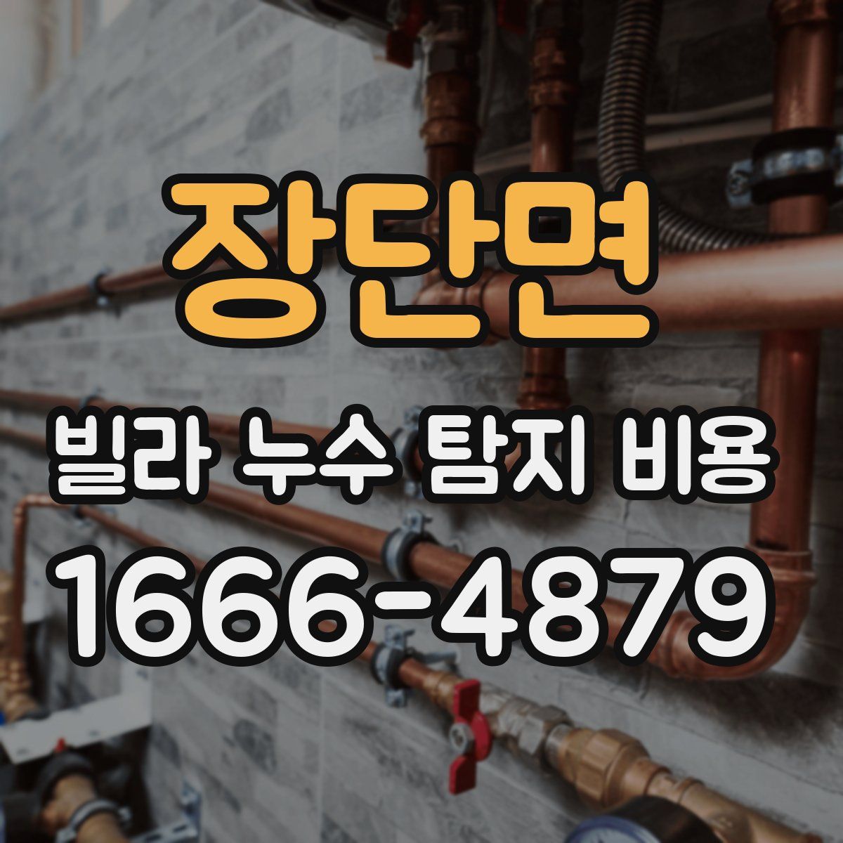 장단면 빌라 누수 탐지 비용